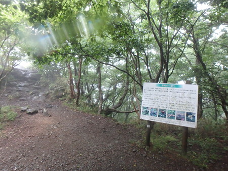P6080007