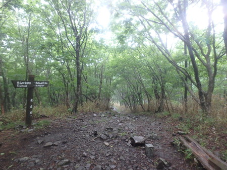 P6080008