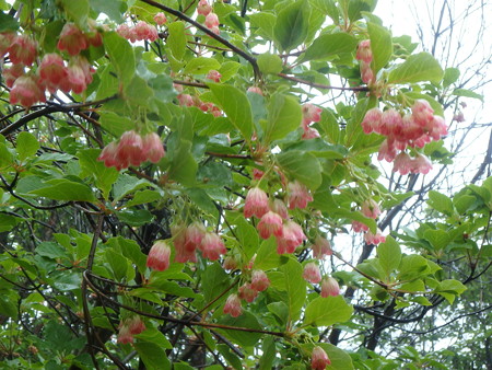 P6080032