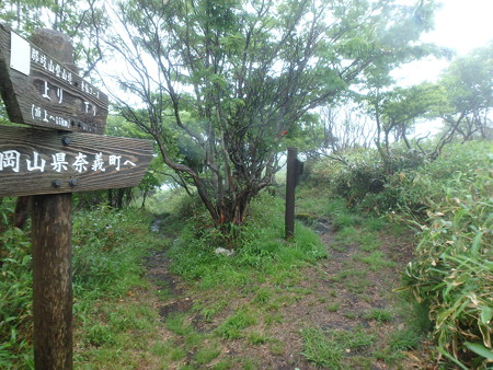 P6080033