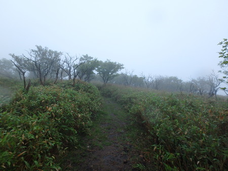 P6080036
