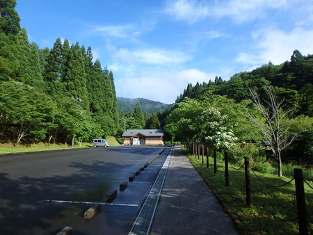 P6170001