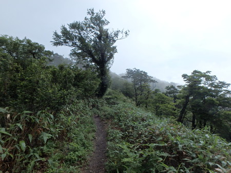P6170025