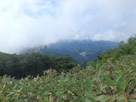 P6170031