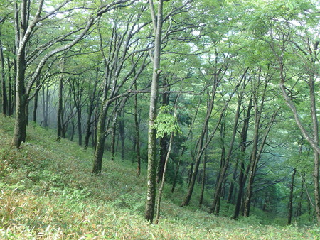 P6170039