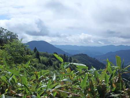 P6170052