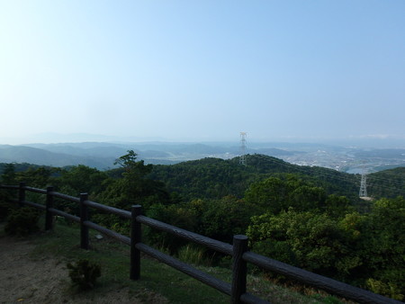 P6220010