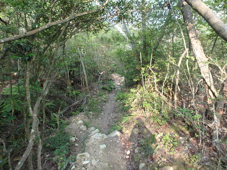 P6220017