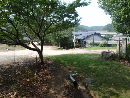 P6220023