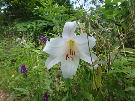 P7060028