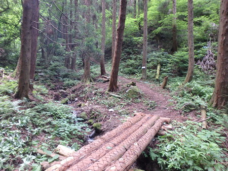 P7060006