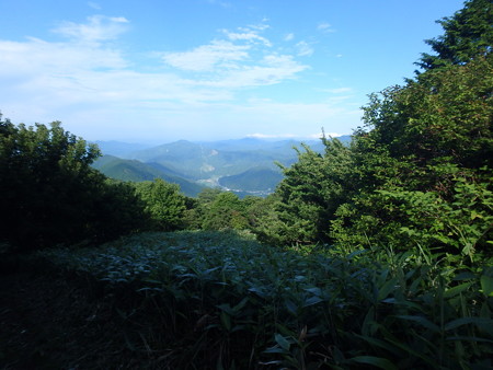 P7060013