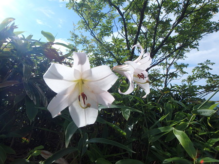 P7060019