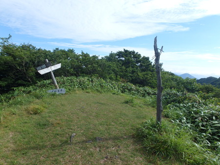 P7060025