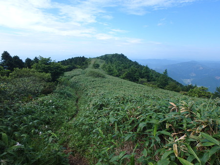 P7060038