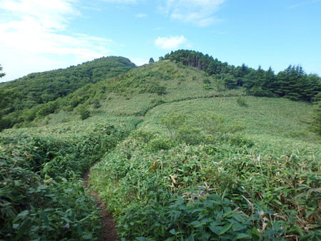 P7060040