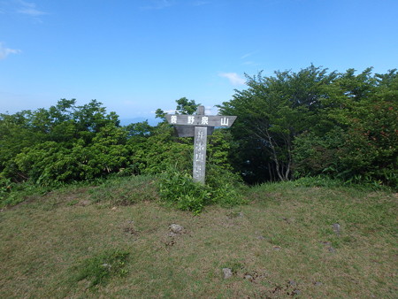 P7060042