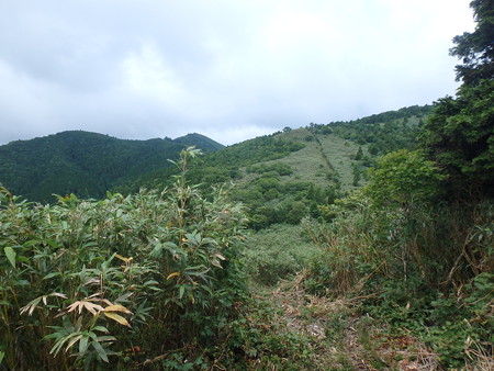 P7120047