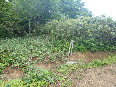 P7120030