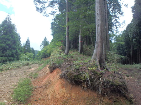 P7120043