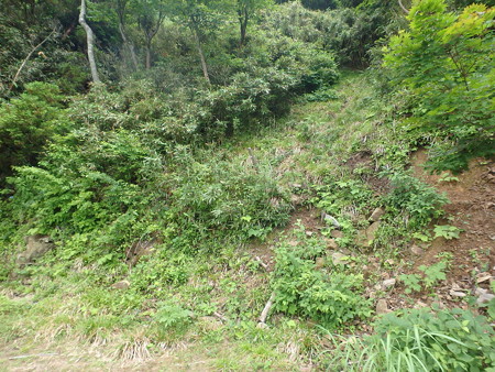 P7120045