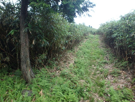 P7120046