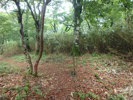 P7120048