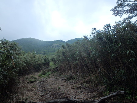 P7120049