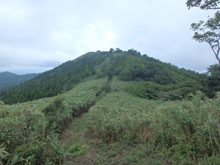 P7120050
