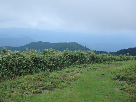 P7120054