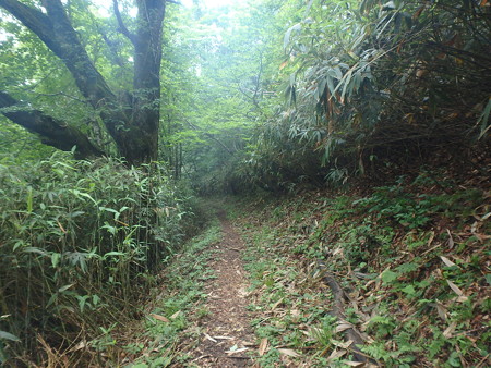 P7120060