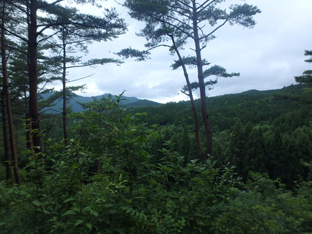 P7120066