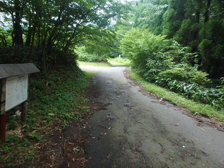 P7120070
