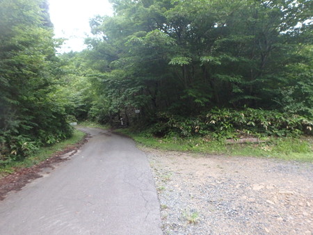 P7130075