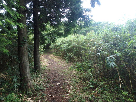P7130093