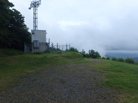 P7130099