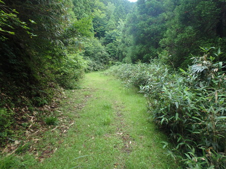 P7130103