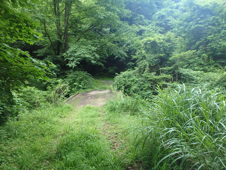 P7130118