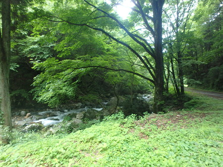 P7130124