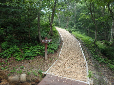 P7280008