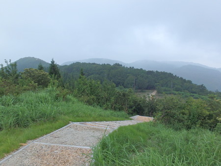 P7280019
