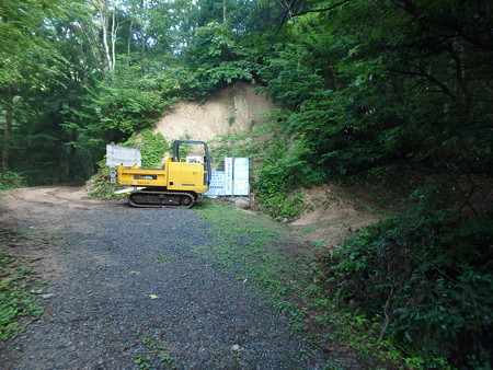 P8040004