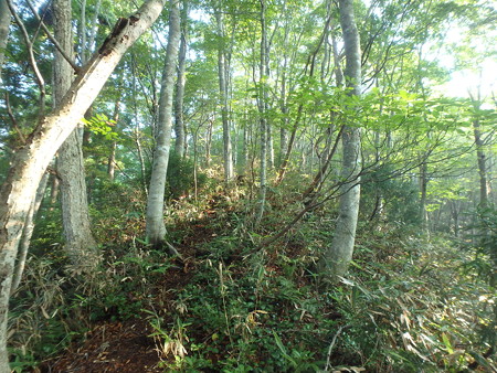 P8040010
