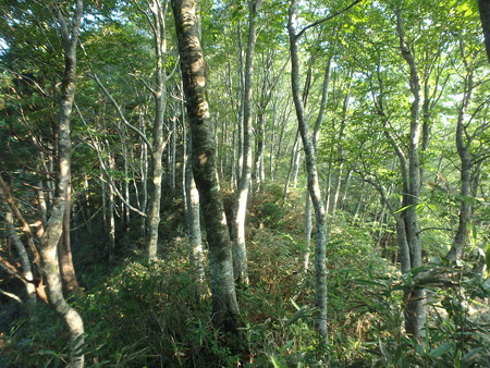 P8040011