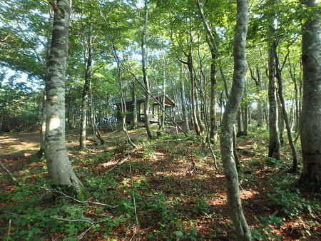 P8040013