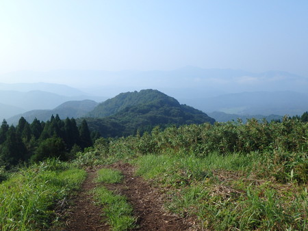 P8040021