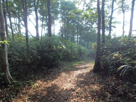 P8040023