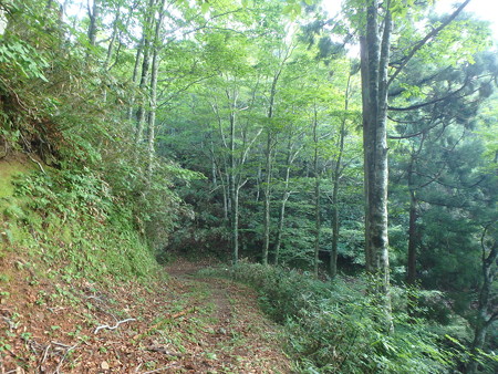 P8040034