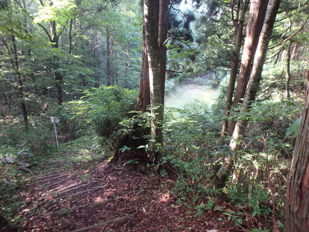 P8040036