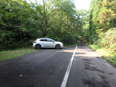 P8040042